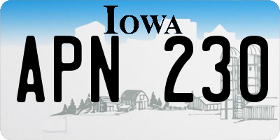 IA license plate APN230