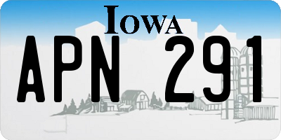 IA license plate APN291