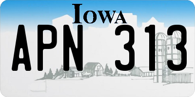 IA license plate APN313