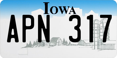 IA license plate APN317