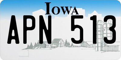 IA license plate APN513
