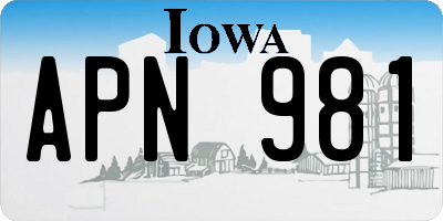IA license plate APN981