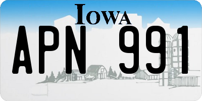 IA license plate APN991