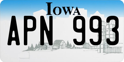 IA license plate APN993