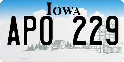 IA license plate APO229