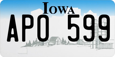 IA license plate APO599