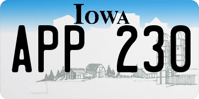 IA license plate APP230