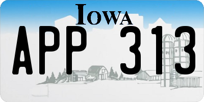 IA license plate APP313