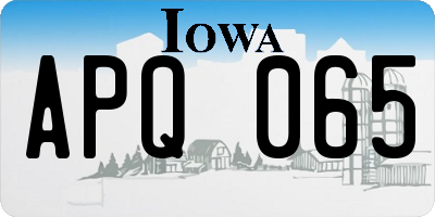 IA license plate APQ065
