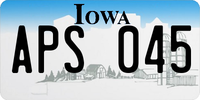 IA license plate APS045