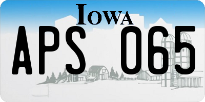 IA license plate APS065