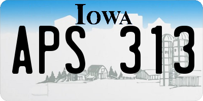 IA license plate APS313