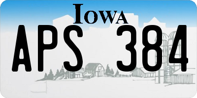 IA license plate APS384