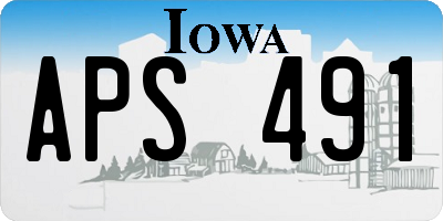 IA license plate APS491