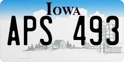 IA license plate APS493