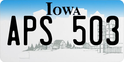 IA license plate APS503