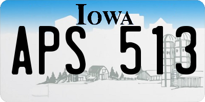 IA license plate APS513