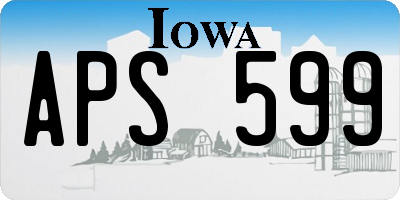 IA license plate APS599