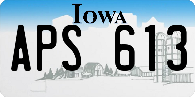 IA license plate APS613