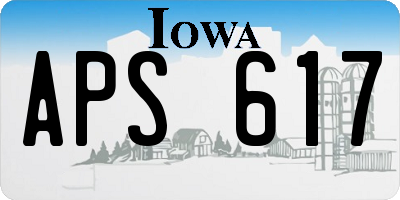 IA license plate APS617