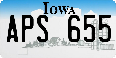 IA license plate APS655