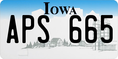 IA license plate APS665