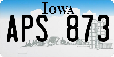 IA license plate APS873