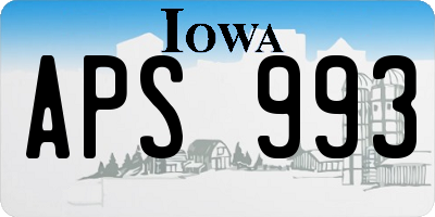 IA license plate APS993