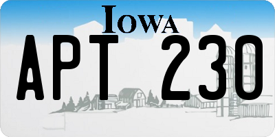 IA license plate APT230