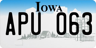 IA license plate APU063