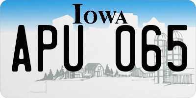 IA license plate APU065