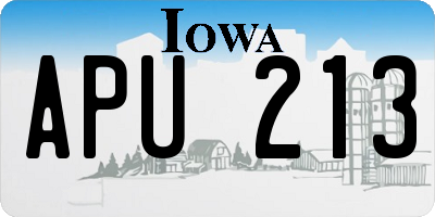 IA license plate APU213