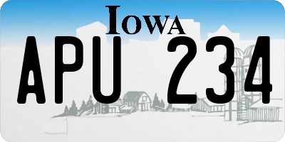 IA license plate APU234