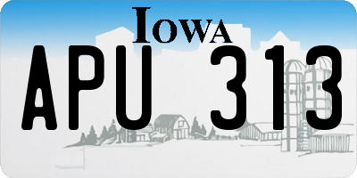 IA license plate APU313