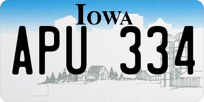 IA license plate APU334