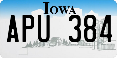 IA license plate APU384