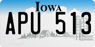 IA license plate APU513