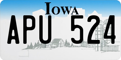 IA license plate APU524