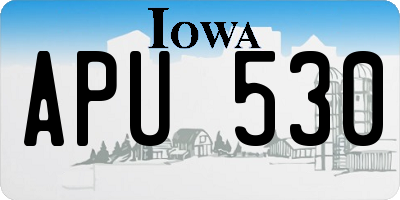 IA license plate APU530