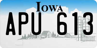 IA license plate APU613