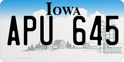 IA license plate APU645