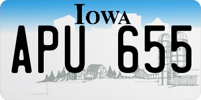 IA license plate APU655