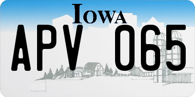 IA license plate APV065