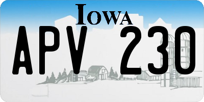 IA license plate APV230