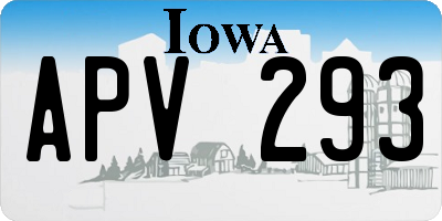 IA license plate APV293