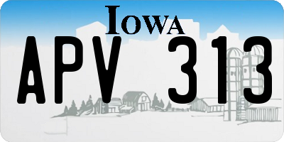 IA license plate APV313