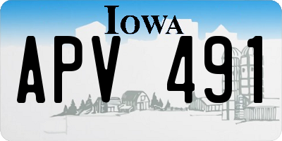 IA license plate APV491