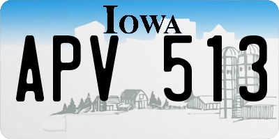 IA license plate APV513