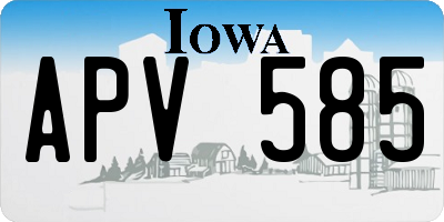 IA license plate APV585