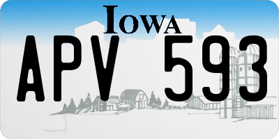 IA license plate APV593